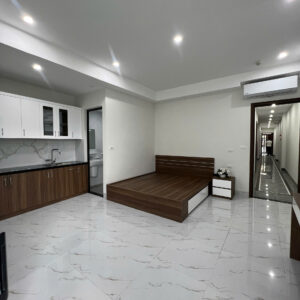 MT709 | Ngõ 225 Nguyễn Đức Cảnh - Image 7