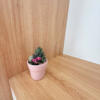 MT541 | Ngõ 554 Trường Chinh - Đống Đa