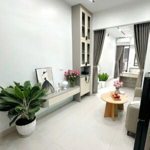 MT555 | Số 200 Phú Mỹ ( Ko đăng địa chỉ cụ thể ) - Image 9